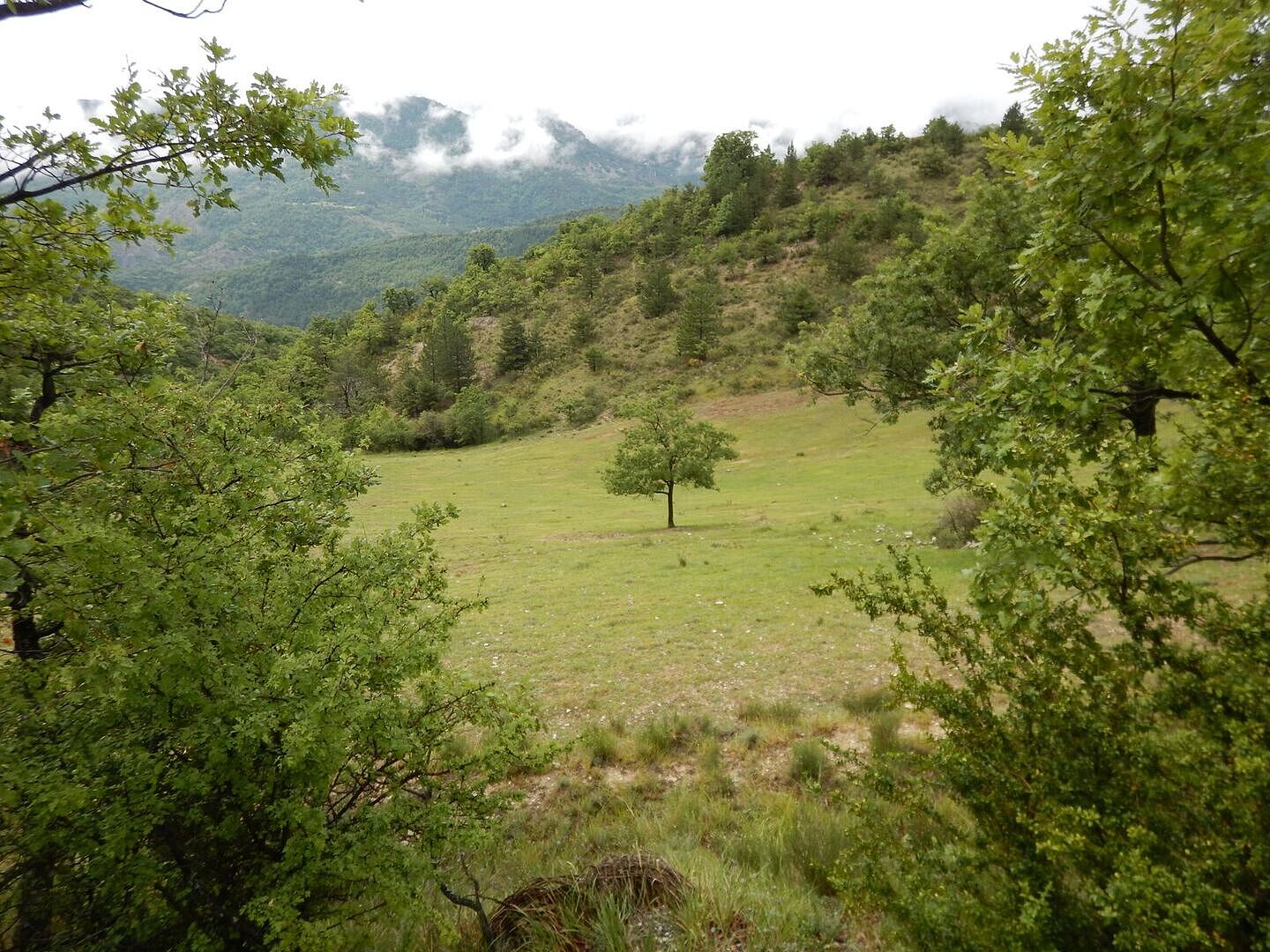 Énergie stable