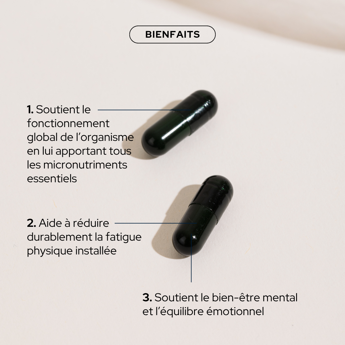 epycure-nergie-immunite-m-moire-cure-multivitamines-fatigue image 3