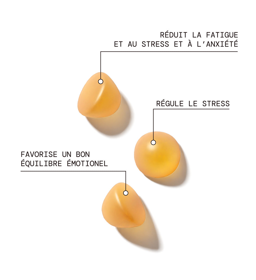 mium-lab-quilibre-motionnel-gummies-pack-magn-sium-safran-4x21-j image 2