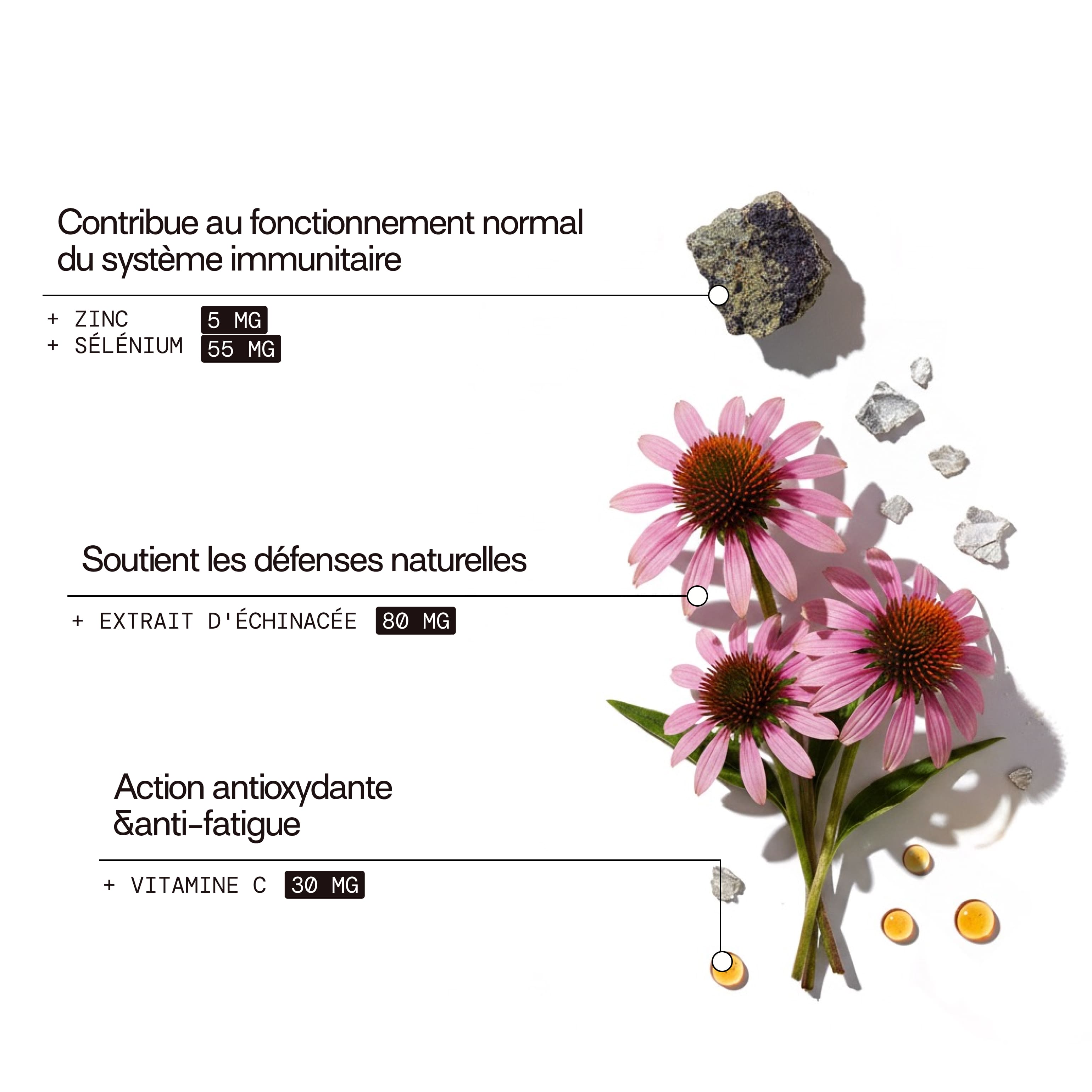 mium-lab-vitality-gummies-immunit-gummies-sans-sucres-21-jours image 5