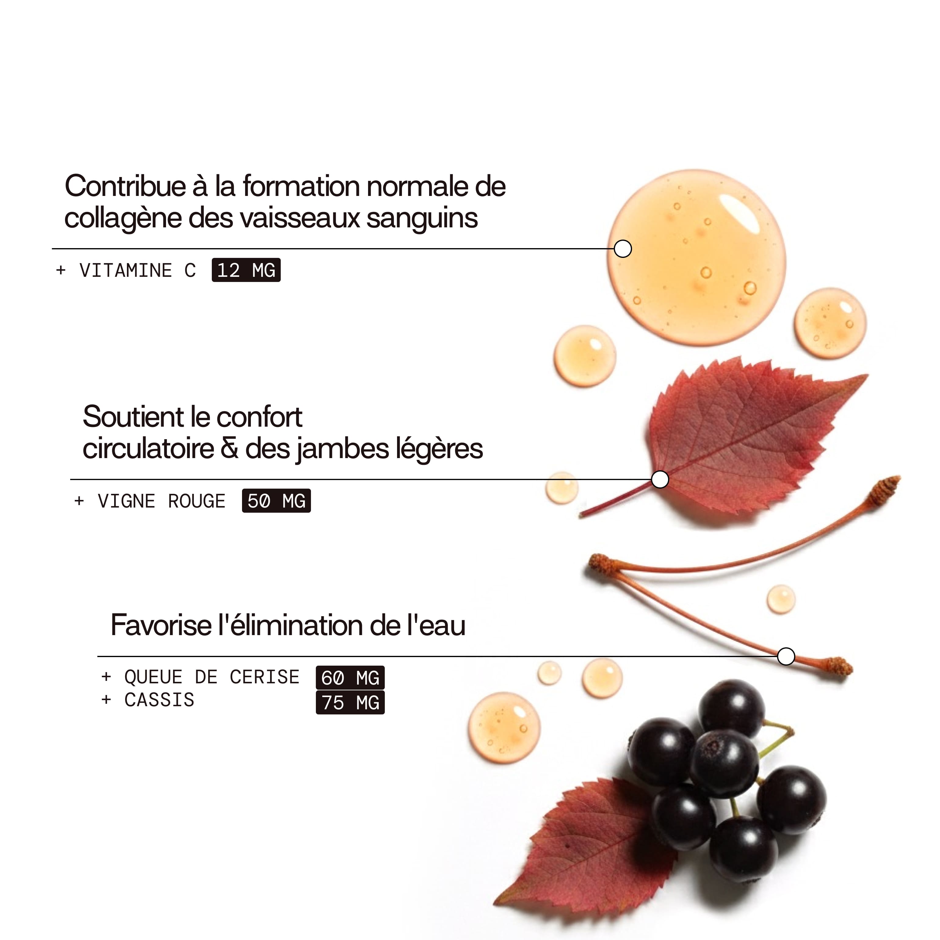 mium-lab-circulation-gummies-sans-sucres-4x21-jours-jambes image 5