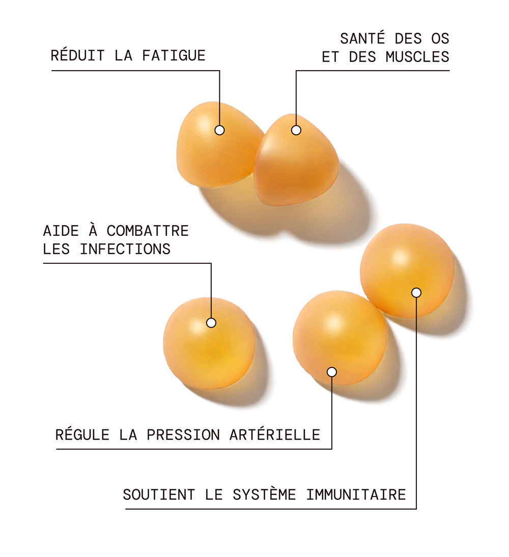 mium-lab-anti-carences-gummies-fer-magn-sium-vitamine-d-3x21-jours image 2
