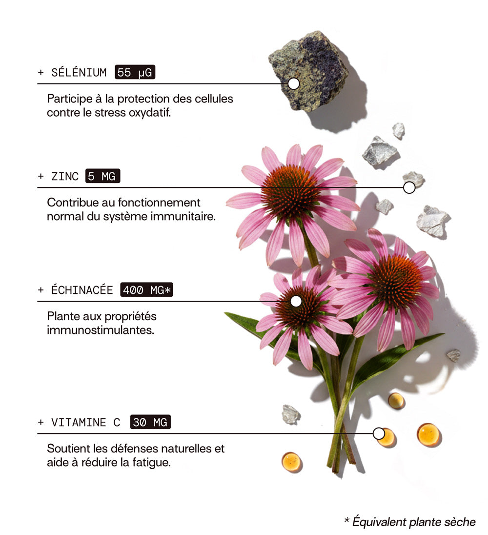 mium-lab-vitality-gummies-immunit-sans-sucres-21-jours image 3