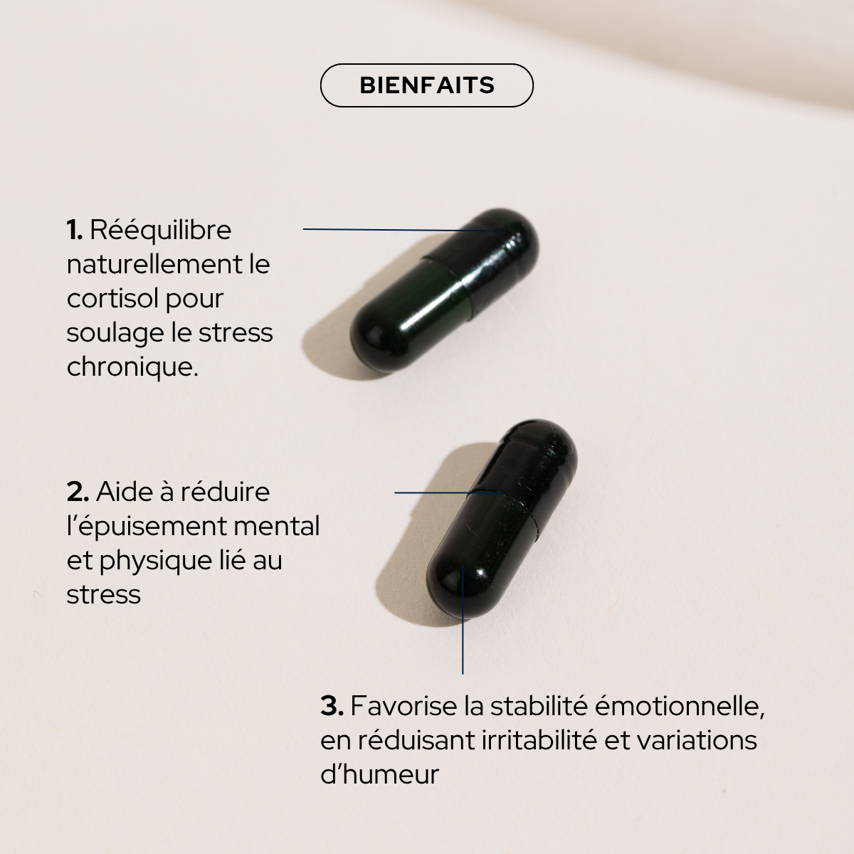 epycure-cortisol-cure-quilibre-stress-1-mois-magn-sium image 3