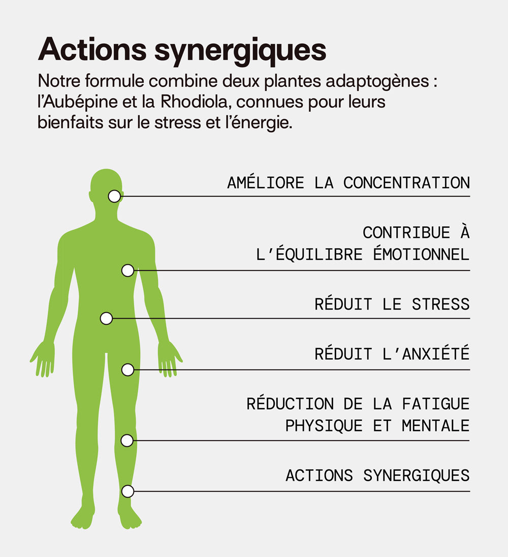 mium-lab-pack-pleine-forme-gummies-4x21-jours-nergie-sommeil image 6