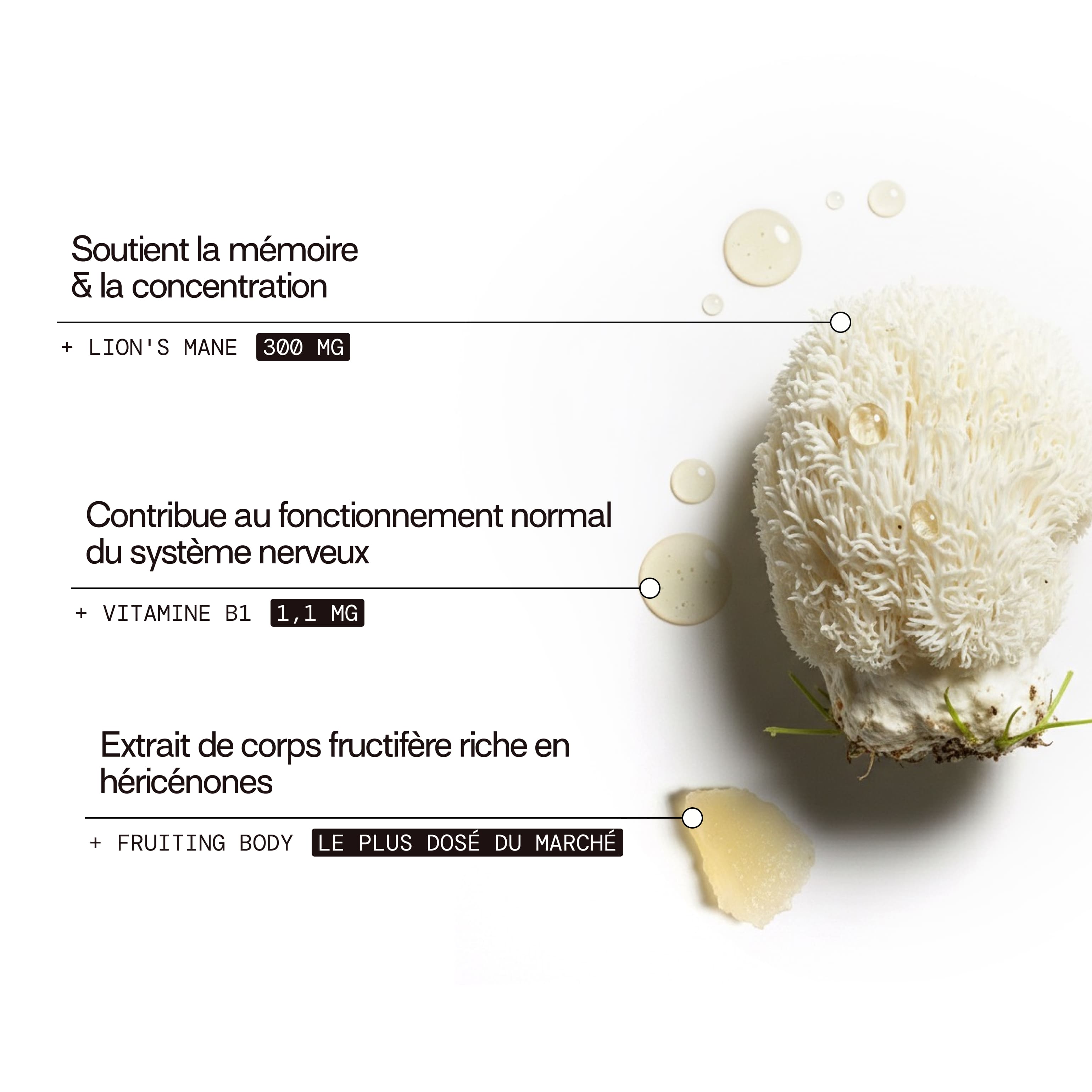 mium-lab-health-gummies-lion-s-mane-m-moire-3-semaines image 5