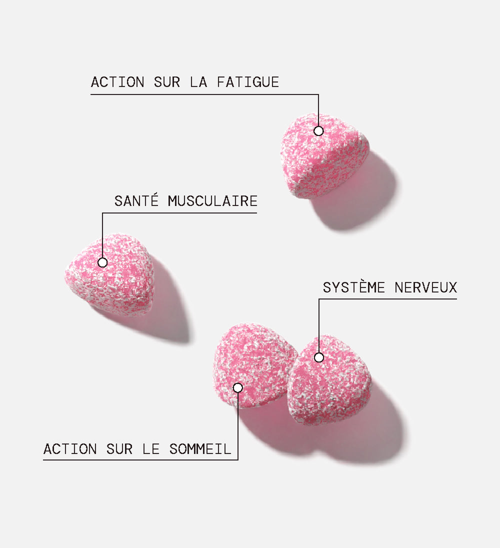 mium-lab-health-gummies-pack-magn-sium-famille-3x21-jours image 2