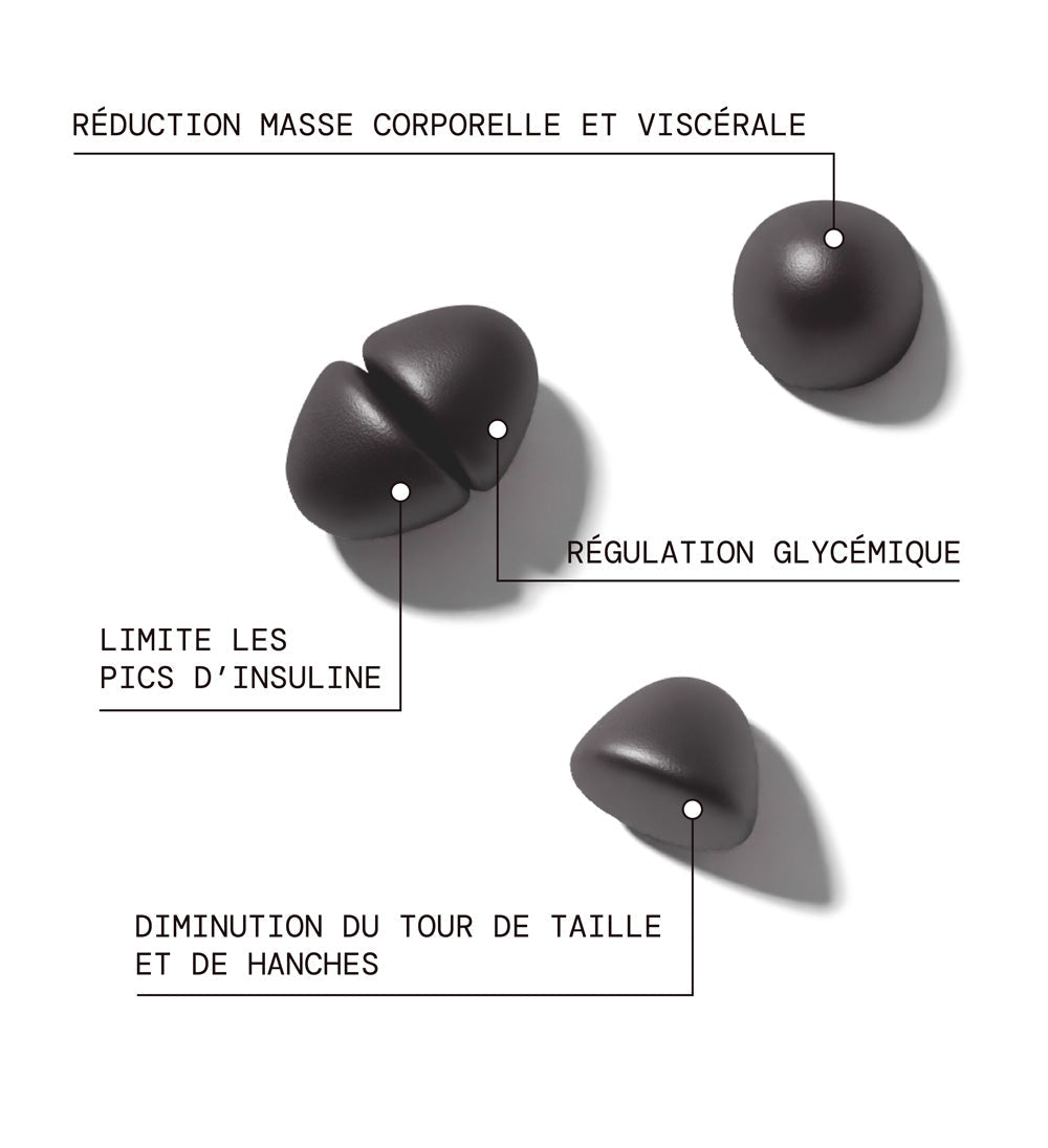 mium-lab-reset-m-tabolisme-jour-nuit-gummies-morosil-3x21-jours image 2