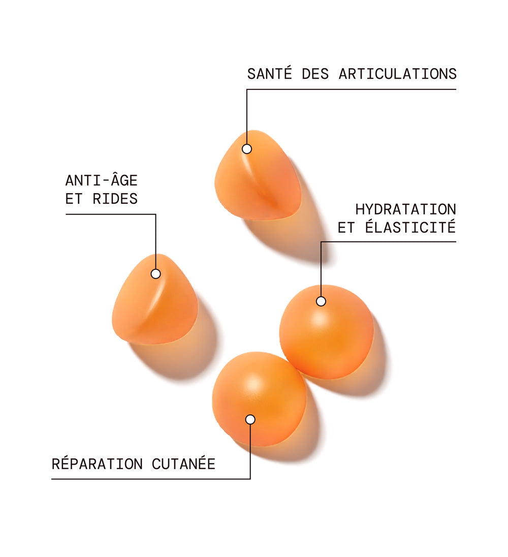 mium-lab-glow-up-pack-gummies-collag-ne-cheveux-ongles-21-jours image 4