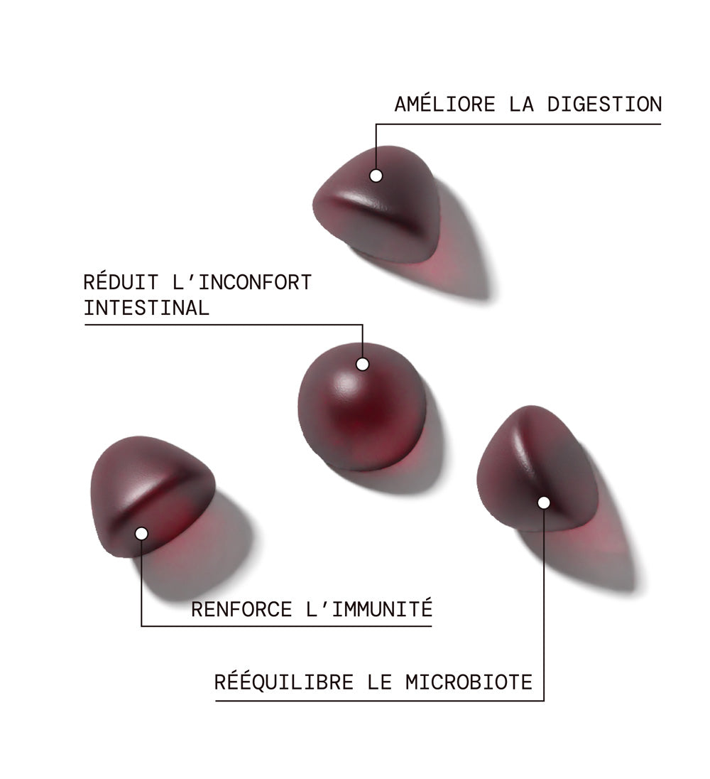 mium-lab-reset-m-tabolisme-jour-nuit-gummies-morosil-3x21-jours image 5