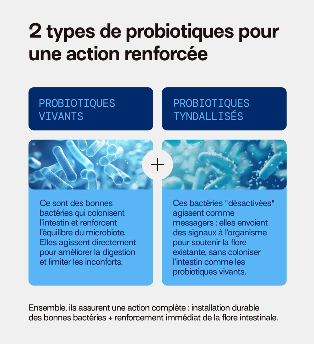 mium-lab-reset-m-tabolisme-jour-nuit-gummies-morosil-3x21-jours image 7