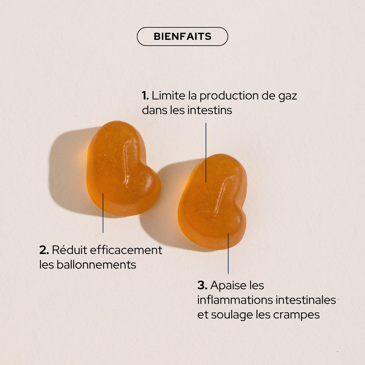 epycure-drainage-digestion-gummies-anti-ballonnements-ventre-plat-1-mois-2 image 3