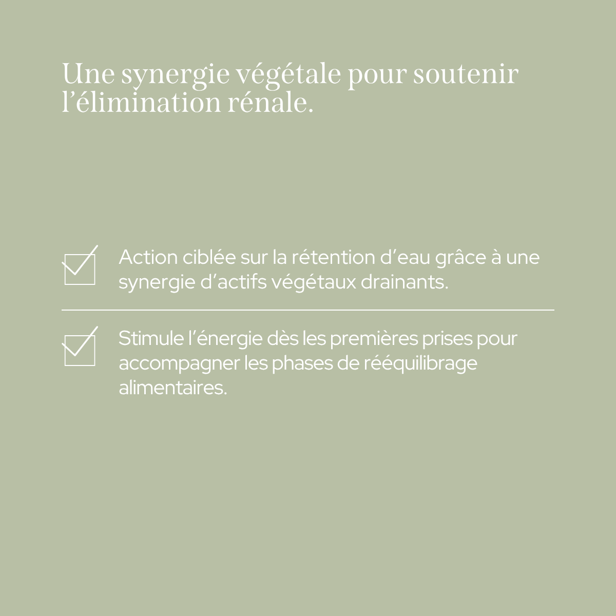 epycure-poudre-drainante-citron-1-mois-limination-r-nale image 4