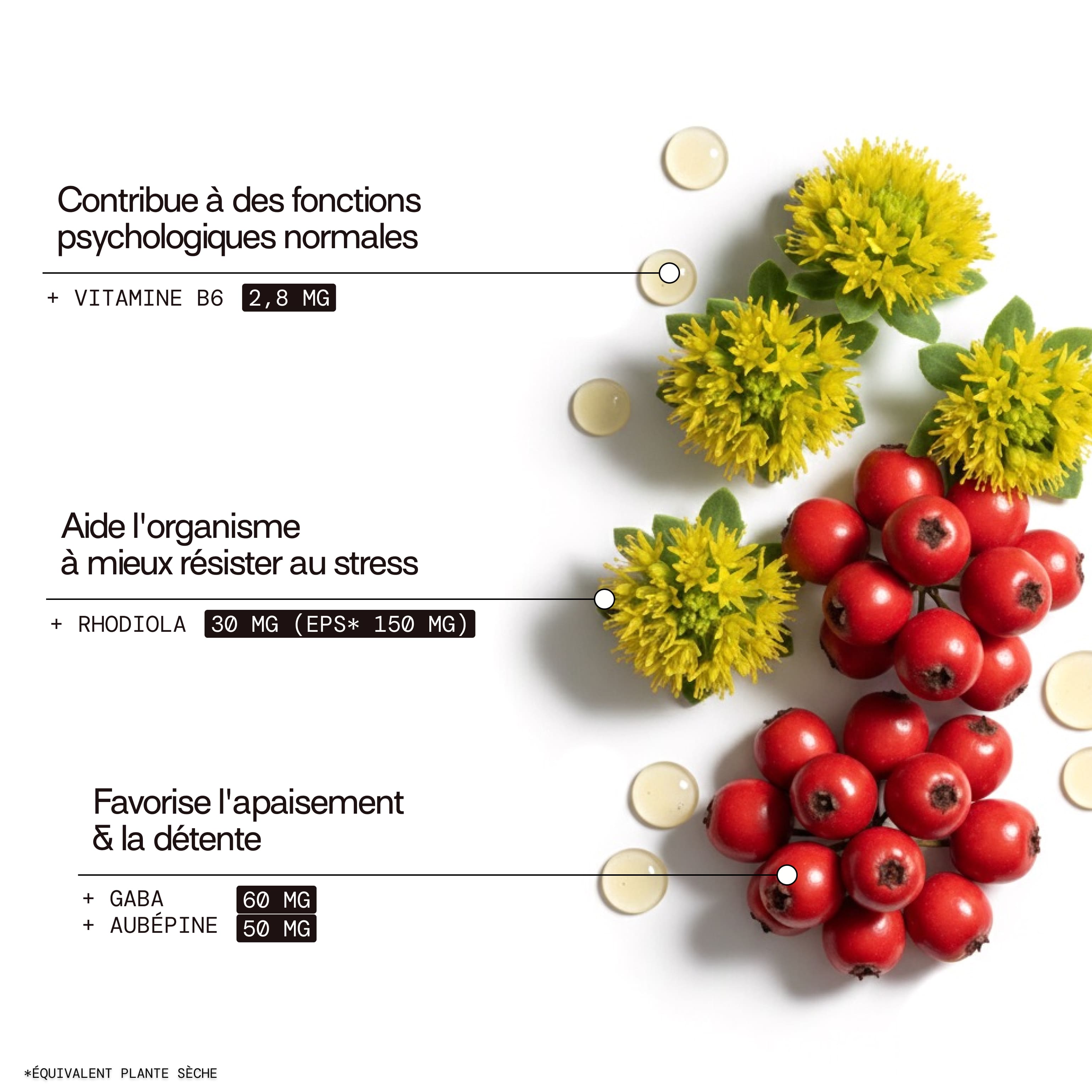 mium-lab-stress-gummies-anti-stress-pack-4-co-recharges-gaba image 5